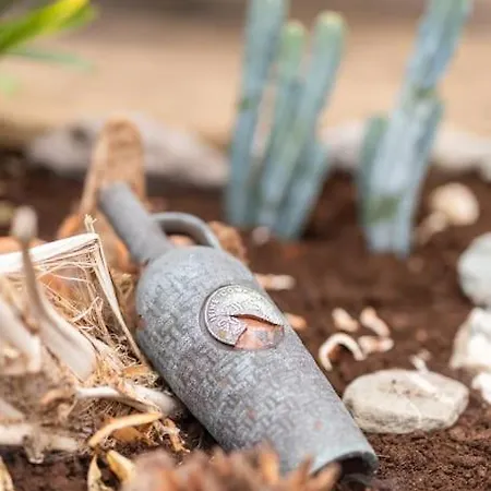 Luxury House On Seafront Villa Curryglass