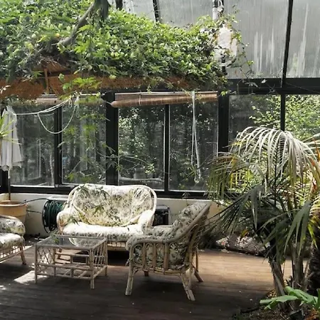 Luxury House On Seafront Villa *