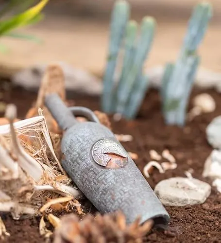 Luxury House On Seafront ヴィラ Curryglass