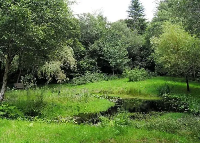 Luxury House On Seafront ヴィラ