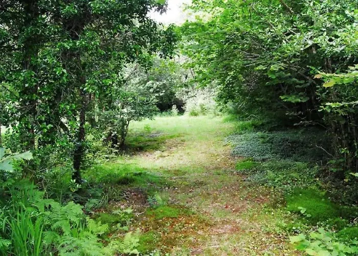 Villa Luxury House On Seafront Curryglass